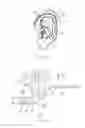 Fig. 02 - Ear canal device retention means