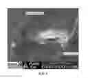 Fig. 06 - Image analysis by object addition and recovery