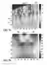 Fig. 10 - Methods and systems for improved localized feature quantification in surface metrology tools