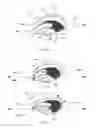 Fig. 19 - IMAGE-PROCESSING METHOD FOR CORRECTING A TARGET IMAGE WITH RESPECT TO A REFERENCE IMAGE, AND CORRESPONDING IMAGE-PROCESSING DEVICE