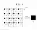 Fig. 05 - Method and apparatus for removing image blocking artifact by using transformation coefficient