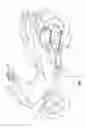 Fig. 02 - CRANKSHAFT SUPPORT STRUCTURE
