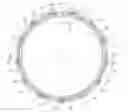 Fig. 01 - Ball roller bearing