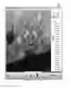 Fig. 01 - Graphic user interface for playing video data