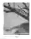 Fig. 07 - Methods and apparatus for full-resolution light-field capture and rendering
