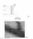 Fig. 09 - Methods and apparatus for full-resolution light-field capture and rendering