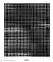 Fig. 11 - Methods and apparatus for full-resolution light-field capture and rendering