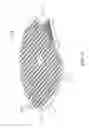 Fig. 09 - Conformal hybrid EO/RF aperture