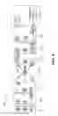 Fig. 08 - Holevo capacity achieving joint detection receiver