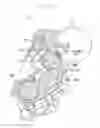 Fig. 03 - Image forming apparatus