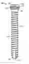 Fig. 01 - Variable angled locking screw