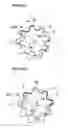 Fig. 10 - Pump rotor combining and eccentrically disposing an inner and outer rotor