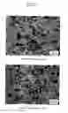 Fig. 08 - Sintered material, ferrous sintered sliding material, producing method of the same, sliding member, producing method of the same and coupling device