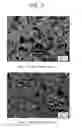 Fig. 09 - Sintered material, ferrous sintered sliding material, producing method of the same, sliding member, producing method of the same and coupling device