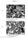Fig. 13 - Sintered material, ferrous sintered sliding material, producing method of the same, sliding member, producing method of the same and coupling device