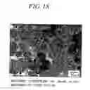 Fig. 19 - Sintered material, ferrous sintered sliding material, producing method of the same, sliding member, producing method of the same and coupling device