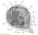 Fig. 01 - CHEMILUMINESCENT DEVICE WITH TIME DELAY ACTIVATION