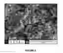 Fig. 05 - Combination catalysts based on iron for the substantial synthesis of multi-walled carbon nanotubes by chemical vapor deposition