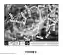 Fig. 07 - Combination catalysts based on iron for the substantial synthesis of multi-walled carbon nanotubes by chemical vapor deposition