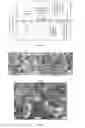 Fig. 04 - Combustion synthesis method and boron-containing materials produced therefrom
