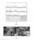 Fig. 05 - Combustion synthesis method and boron-containing materials produced therefrom