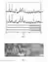 Fig. 06 - Combustion synthesis method and boron-containing materials produced therefrom