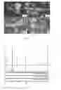 Fig. 10 - Combustion synthesis method and boron-containing materials produced therefrom