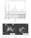 Fig. 12 - Combustion synthesis method and boron-containing materials produced therefrom