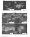 Fig. 14 - Combustion synthesis method and boron-containing materials produced therefrom