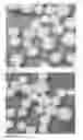 Fig. 02 - PROCESS FOR TREATING CATALYST PRECURSORS
