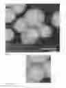Fig. 03 - PROCESS FOR TREATING CATALYST PRECURSORS