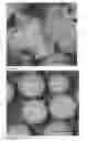 Fig. 04 - PROCESS FOR TREATING CATALYST PRECURSORS