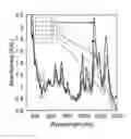 Fig. 01 - Purification of carbon nanotubes using agarose column and density gradient ultracentrifugation