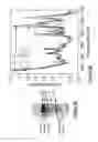 Fig. 05 - Purification of carbon nanotubes using agarose column and density gradient ultracentrifugation