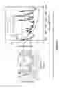 Fig. 06 - Purification of carbon nanotubes using agarose column and density gradient ultracentrifugation