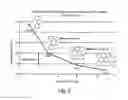 Fig. 03 - NANOSTRUCTURES AND METHODS FOR CHEMICALLY SYNTHESIZING NANOSTRUCTURES