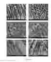 Fig. 11 - PROCESS FOR PRODUCING A CARBONACEOUS PRODUCT FROM BIOMASS