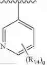 Fig. 17 - Formula (IA″) compounds comprising (piperidin-4-yl)pyridine or (1,2,3,6-tetrahydropyridin-4-4yl) as TRPV1 antagonists