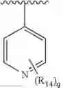 Fig. 19 - Formula (IA″) compounds comprising (piperidin-4-yl)pyridine or (1,2,3,6-tetrahydropyridin-4-4yl) as TRPV1 antagonists