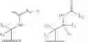 Fig. 31 - Formula (IA″) compounds comprising (piperidin-4-yl)pyridine or (1,2,3,6-tetrahydropyridin-4-4yl) as TRPV1 antagonists
