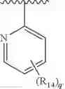 Fig. 522 - Formula (IA″) compounds comprising (piperidin-4-yl)pyridine or (1,2,3,6-tetrahydropyridin-4-4yl) as TRPV1 antagonists