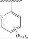 Fig. 892 - Formula (IA″) compounds comprising (piperidin-4-yl)pyridine or (1,2,3,6-tetrahydropyridin-4-4yl) as TRPV1 antagonists
