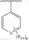 Fig. 91 - Formula (IA″) compounds comprising (piperidin-4-yl)pyridine or (1,2,3,6-tetrahydropyridin-4-4yl) as TRPV1 antagonists