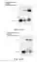 Fig. 07 - Methods for conjugating nucleic acids with small molecules