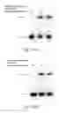 Fig. 08 - Methods for conjugating nucleic acids with small molecules