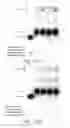 Fig. 11 - Methods for conjugating nucleic acids with small molecules