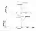 Fig. 04 - MICROVESICLES DERIVED FROM NUCLEATED, MAMMALIAN CELLS AND USE THEREOF