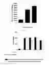 Fig. 06 - MICROVESICLES DERIVED FROM NUCLEATED, MAMMALIAN CELLS AND USE THEREOF
