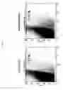 Fig. 29 - MICROVESICLES DERIVED FROM NUCLEATED, MAMMALIAN CELLS AND USE THEREOF