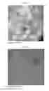 Fig. 32 - MICROVESICLES DERIVED FROM NUCLEATED, MAMMALIAN CELLS AND USE THEREOF